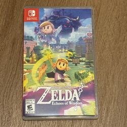 Zelda Echoes of Wisdom Switch
