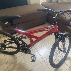 Gauntlet 24 inch online bike