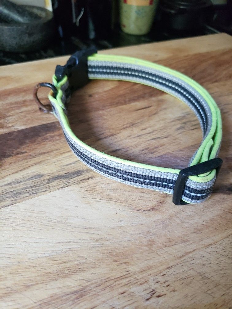 Large Dog Collar