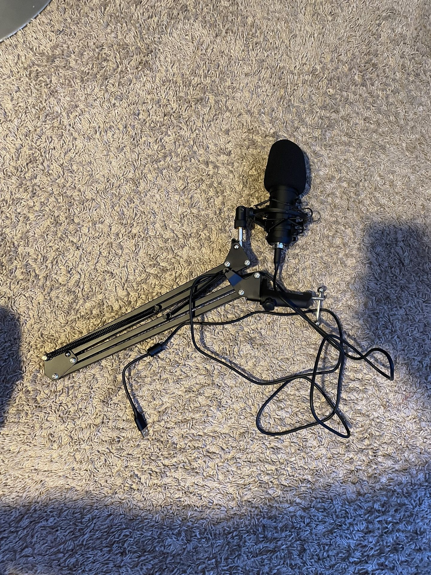 Studio mic