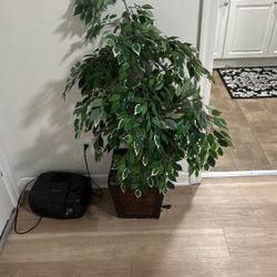 Fake Plant 