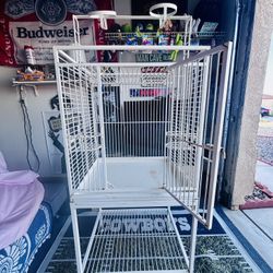 Parrot Cage 