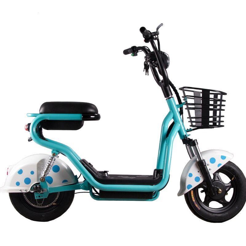 48V 20Ah electric bicycle