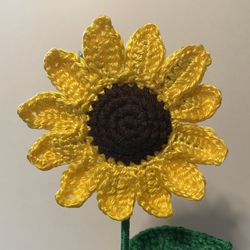 Sunflower In A Pot