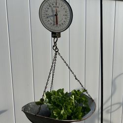 Antique Produce Scale