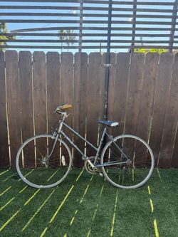 Schwinn Vintage Bicycle
