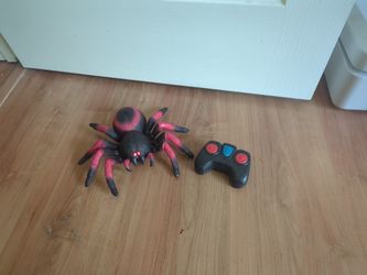 Terra RC Spider