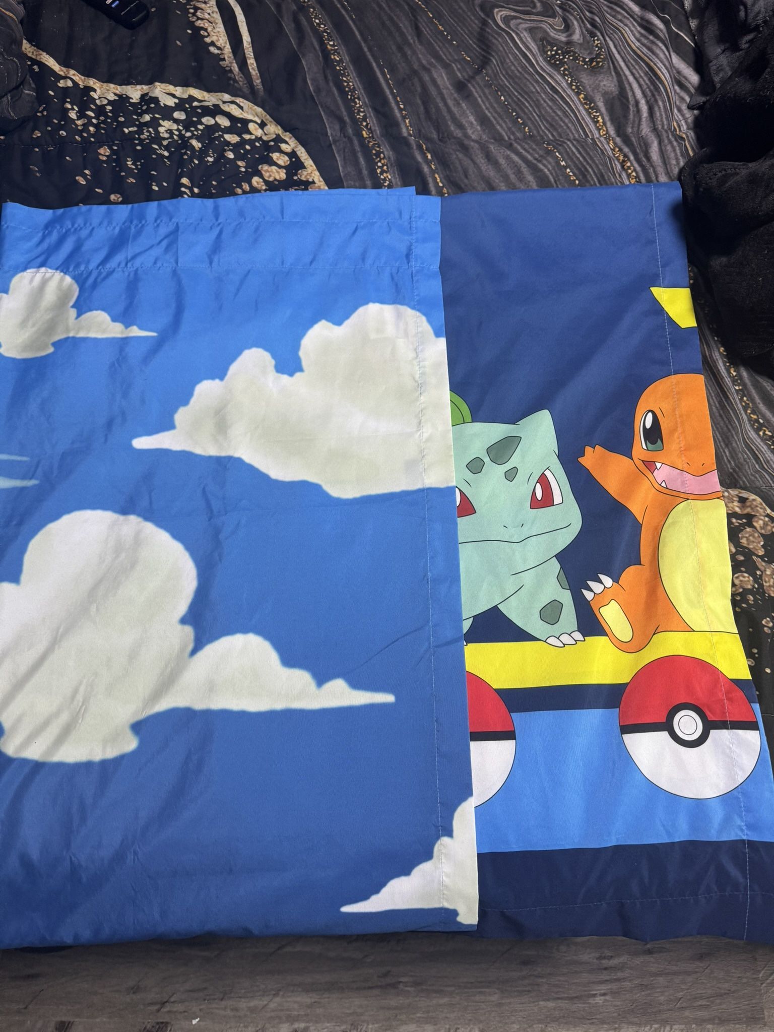 Pokémon Curtains