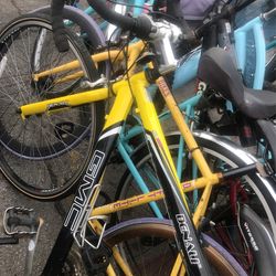 name brand bicycle for sale
