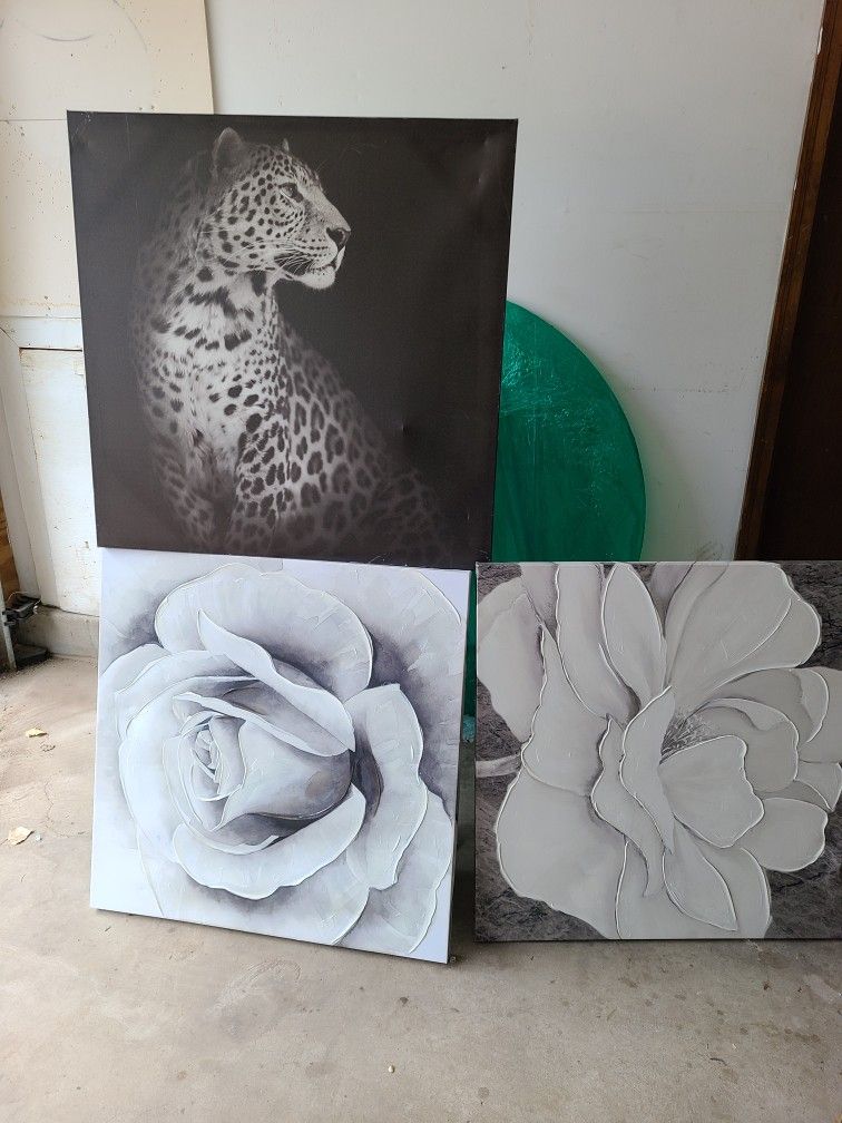 Wall Art (3) Piece