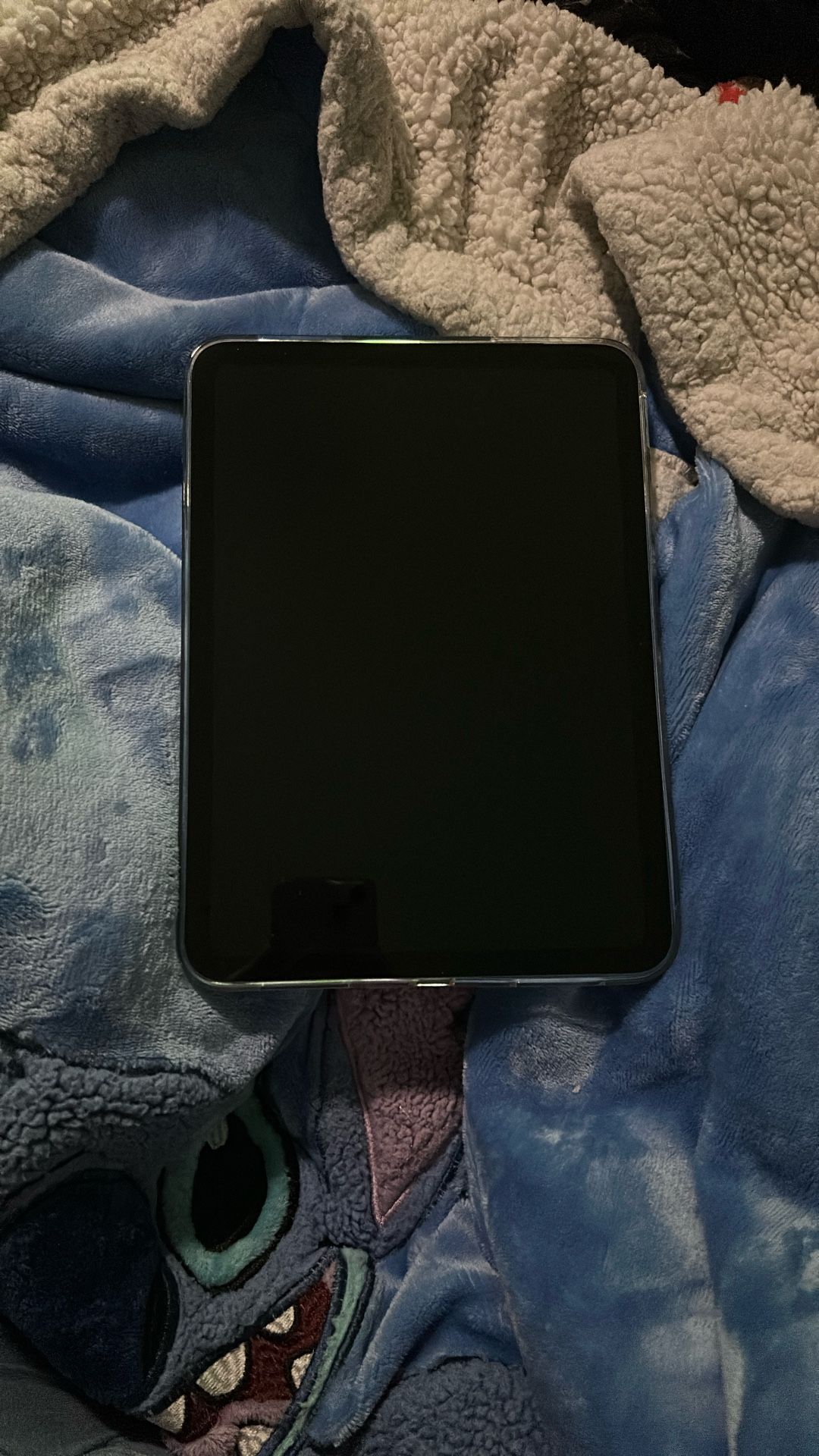 iPad 10th Generation (blue)