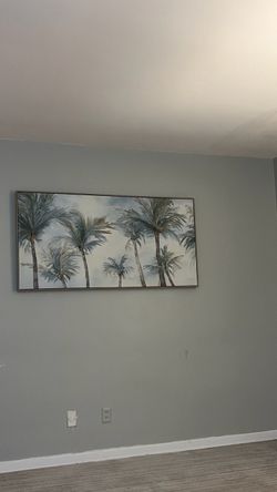 Picture of palm trees