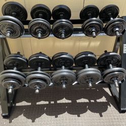 Weight Rack & Dumbbells 