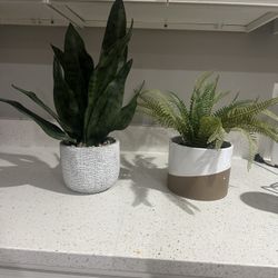 Artificial Potted Plants Set – Snake Plant & Fern