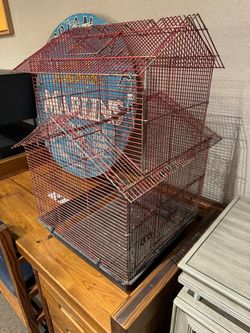 Bird Cage 