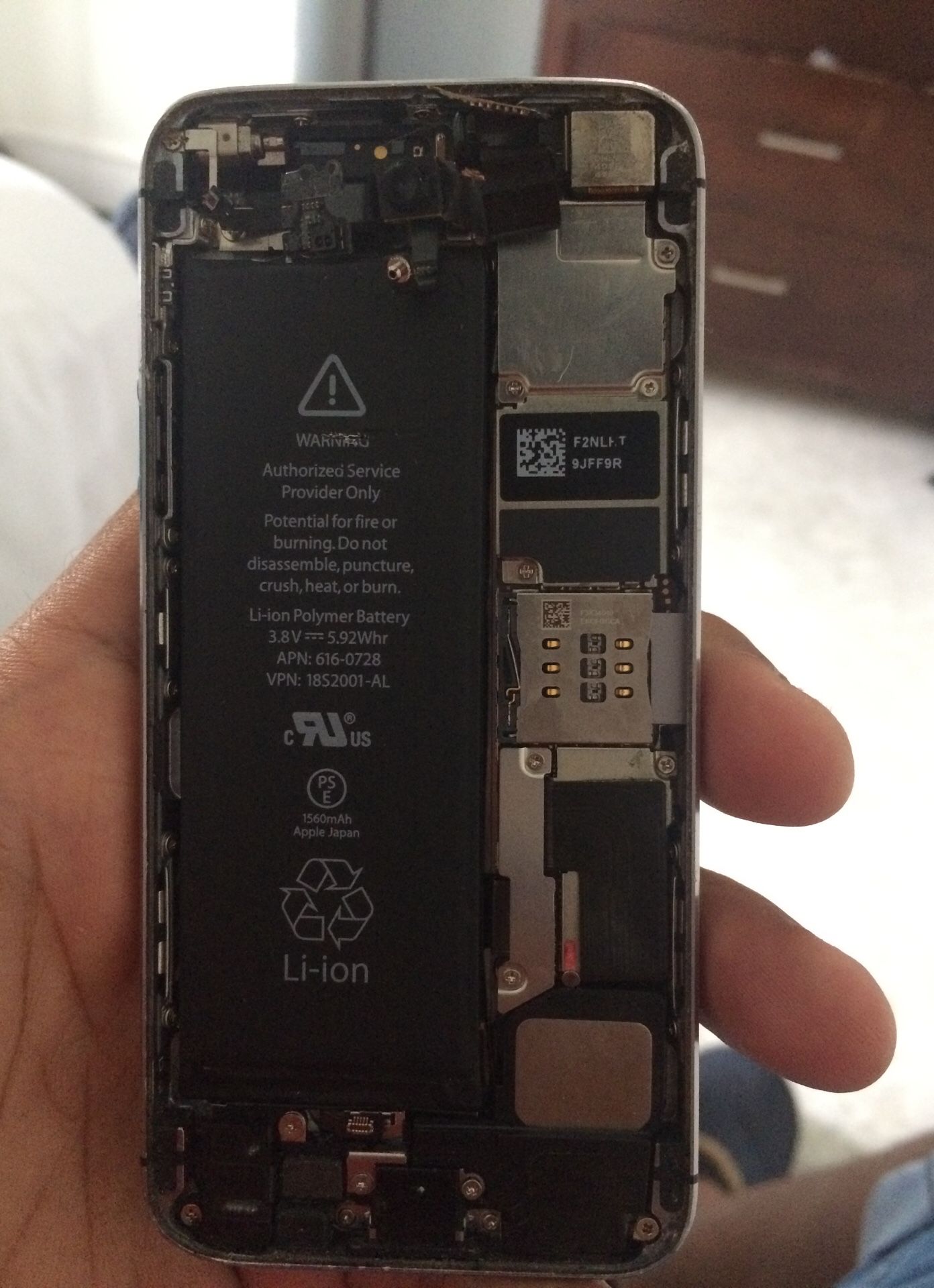 iPhone 5