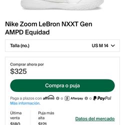 LeBron James Nike zoom NXXT GEN AMPD EQIDAD