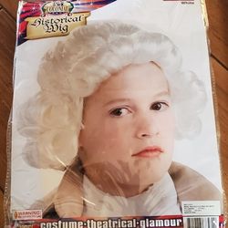 Halloween Wig