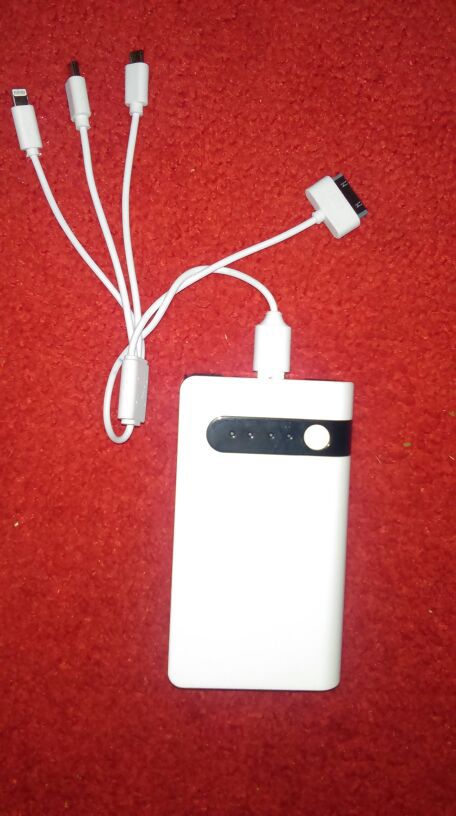 Portable charger
