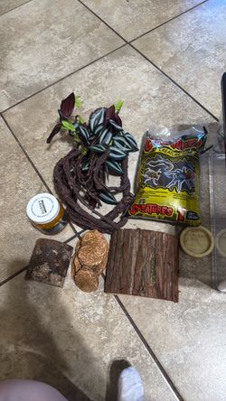 Reptile Terrarium Starter Kit Bundle