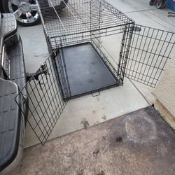 Large dog kennel