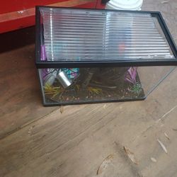 10gal Aquarium 