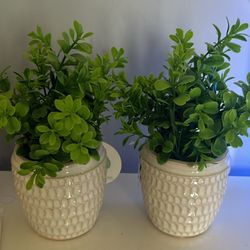Two Artificial Plants