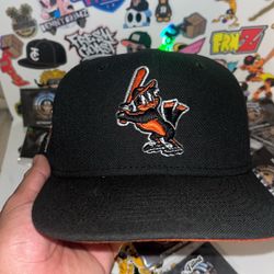 Baltimore Orioles Fitted