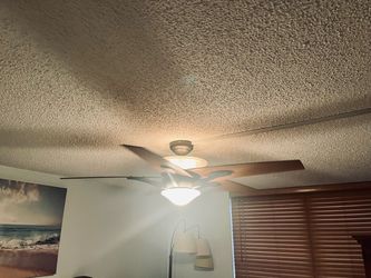 Ceiling Fan