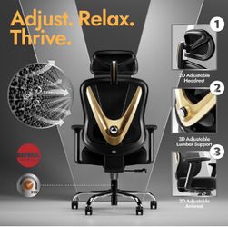 HOLLUDLE Ergonomic Mesh Office Chair - 3D Adjustable Lumbar Support & 3D Armrests, V-Shaped Back, Adjustable Desk Chair for Office & Home, Black and G