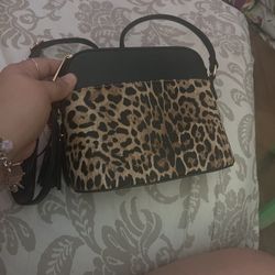 Cheetah Small Cross Body Purse