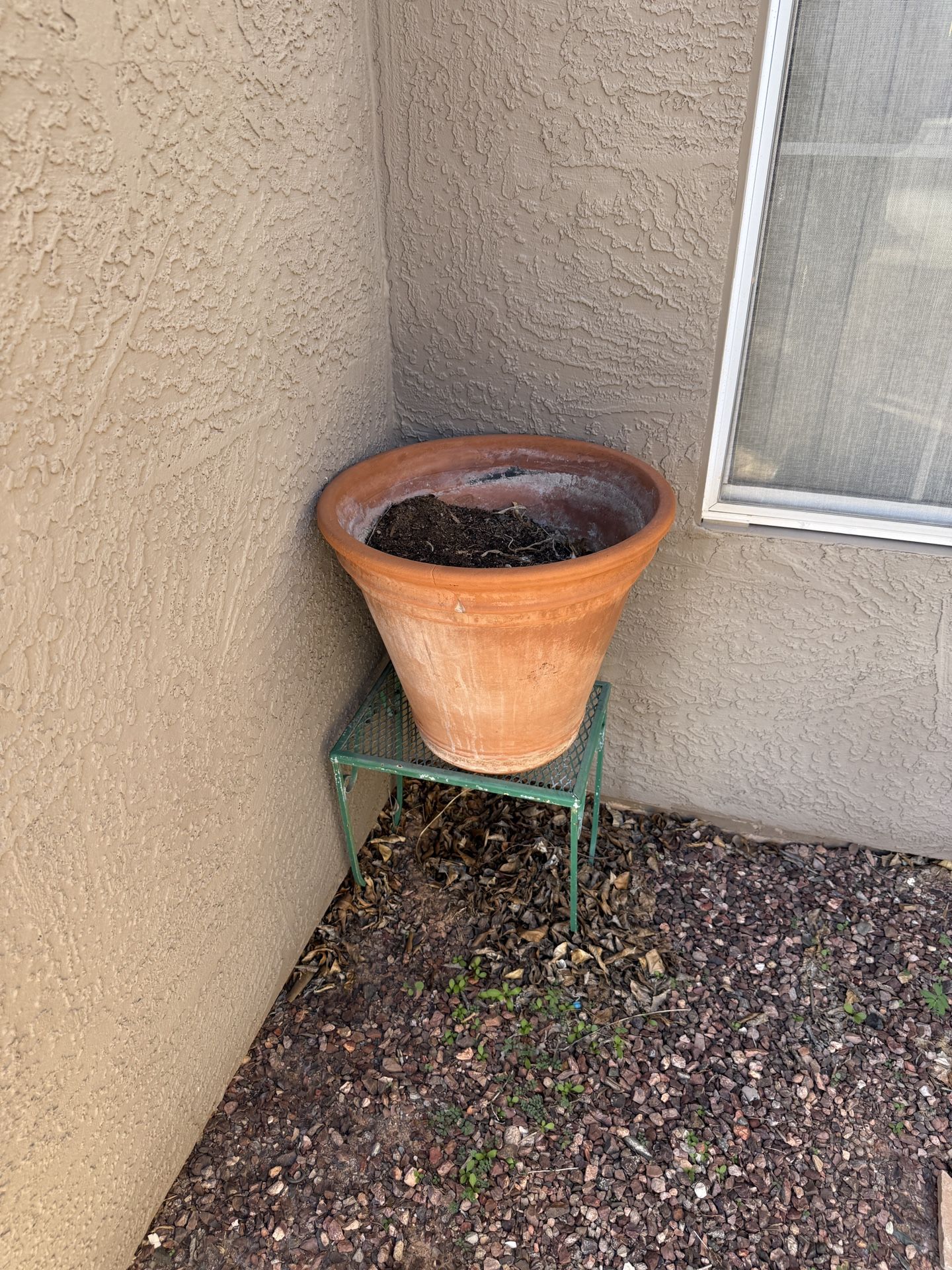 Free Pots And Stand