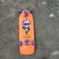 Powell Peralta Cruiser board(front carver truck)