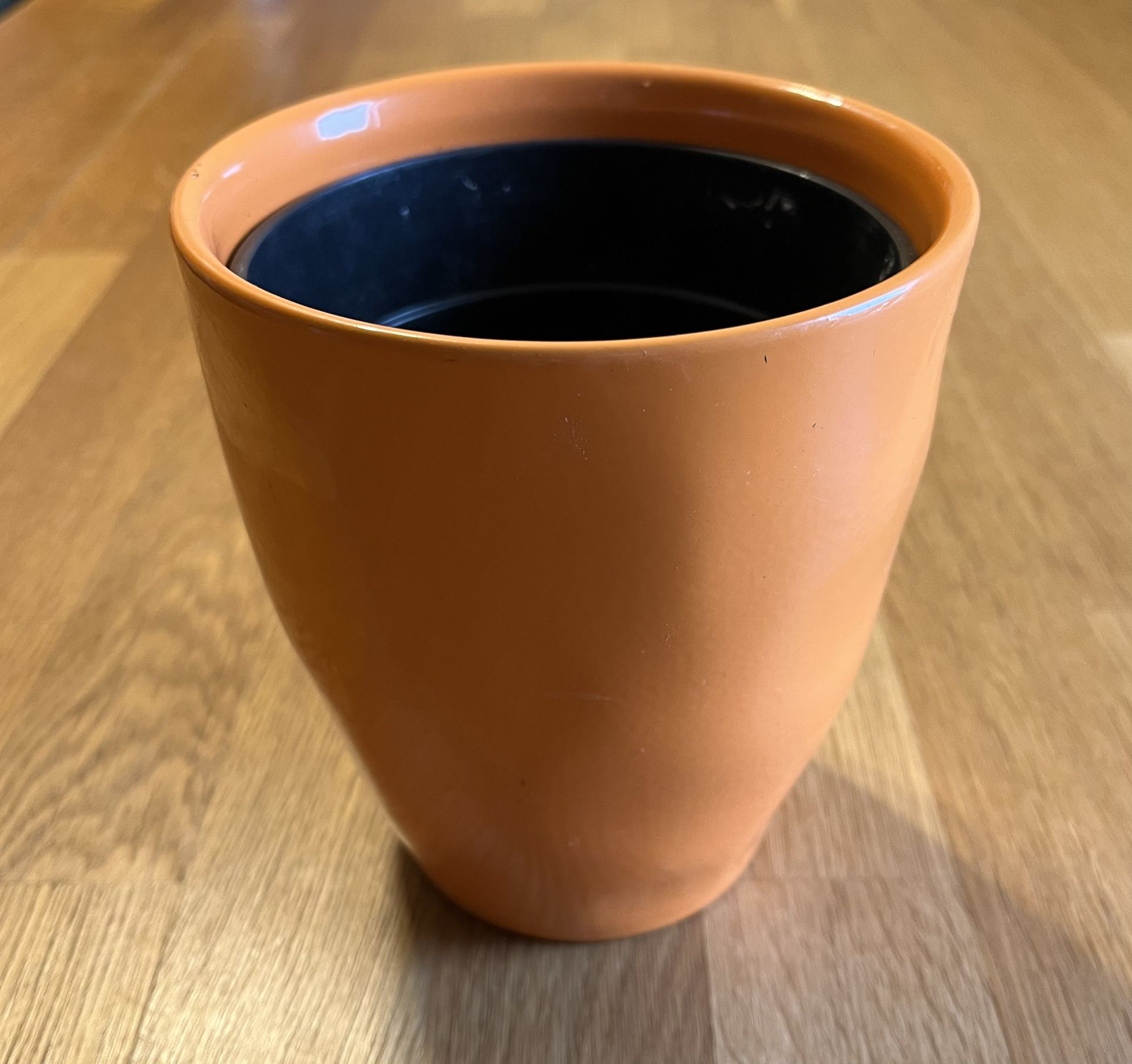 Plant Pot And Free Spiderette