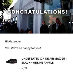 Nike Air Max 95 Undefeated Size 9