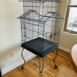 Bird Cage