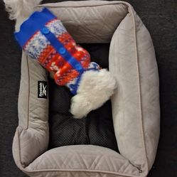 Pet Bed Medium Dog Breeds - Cama Mascotas Perro Chico