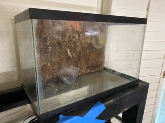 10 gallon terrarium