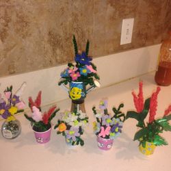 Flores