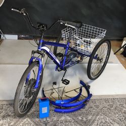 Adult E- Tricycle