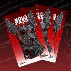 Xolo Pass Zone 2 Section J Row 4 