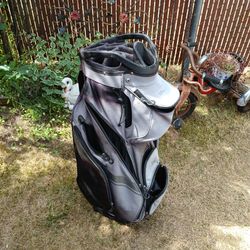 Wilson Golf Cart Bag