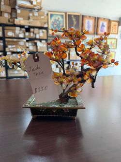 Jade Tree