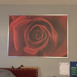 55 X 40 Inch Rose Painting 