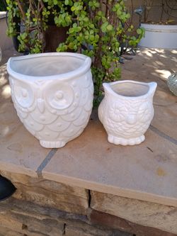 $6 Owl Garden Pot. No Drainage, Small Free, it has a Small Crack. Still Holds a Plant 