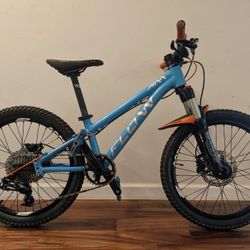 Flow - All Mountain - kids 20" Bike
