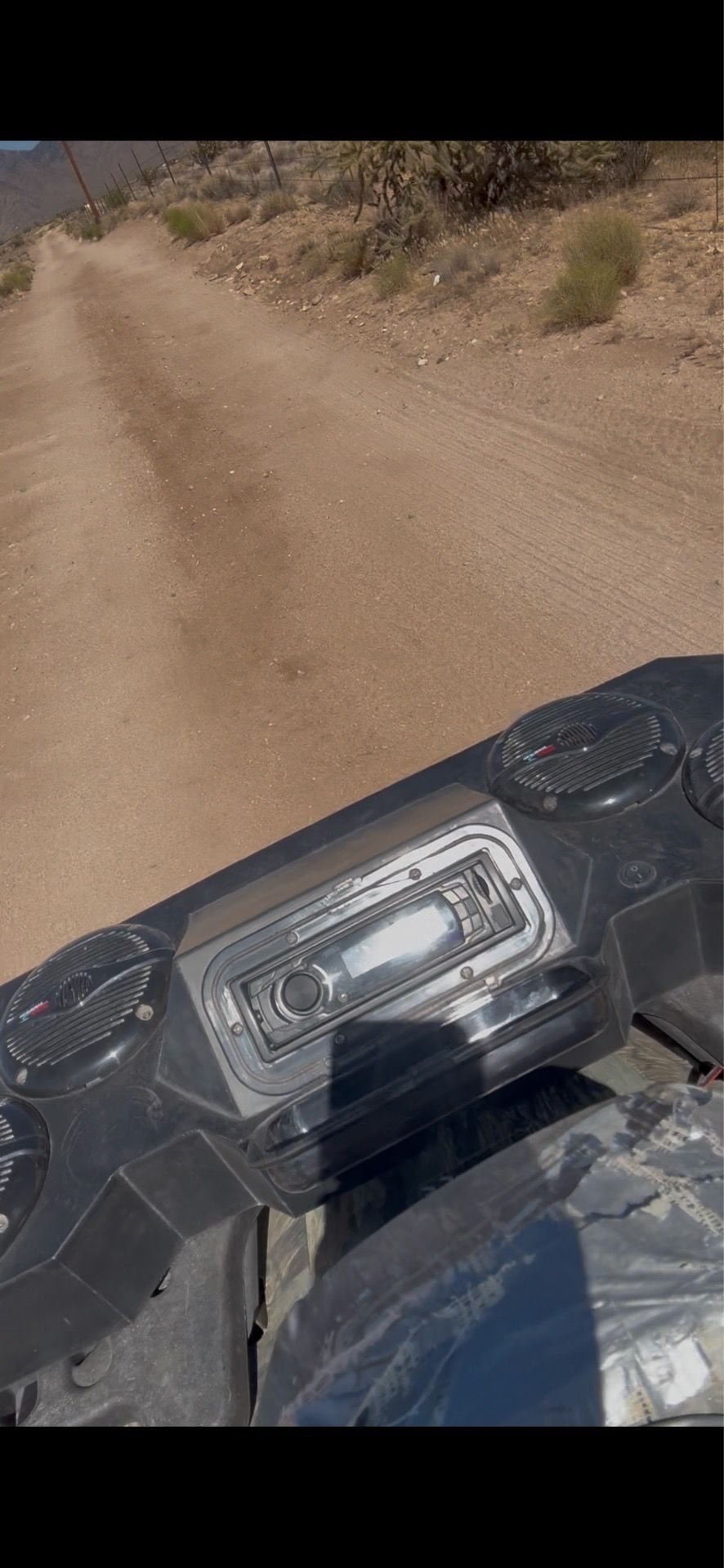 Swamp donkey speakers