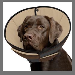 Dog Cone - Avondale Az 859