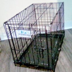 Small Dog Crate Pickup Between 2:00-10:45 Rainbow/95 Cash Only Read Description 