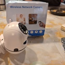 Wireless Network Camera 